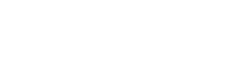Steinbeis M&A logo