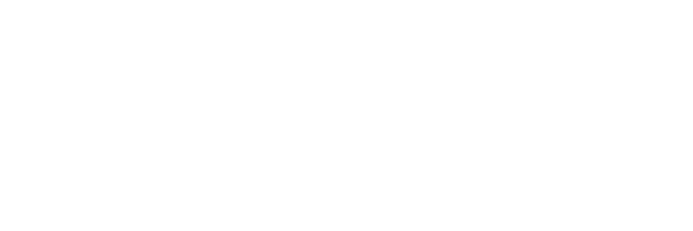 BAMBERG Reputation logo